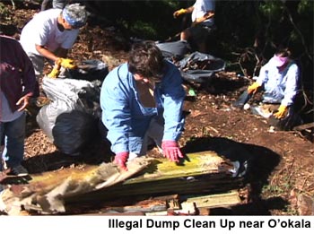 Community cleanup